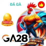 fh88 Game 06